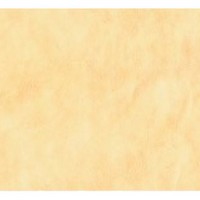 Leather Amarillo wall & floor tile Rectified 30x50